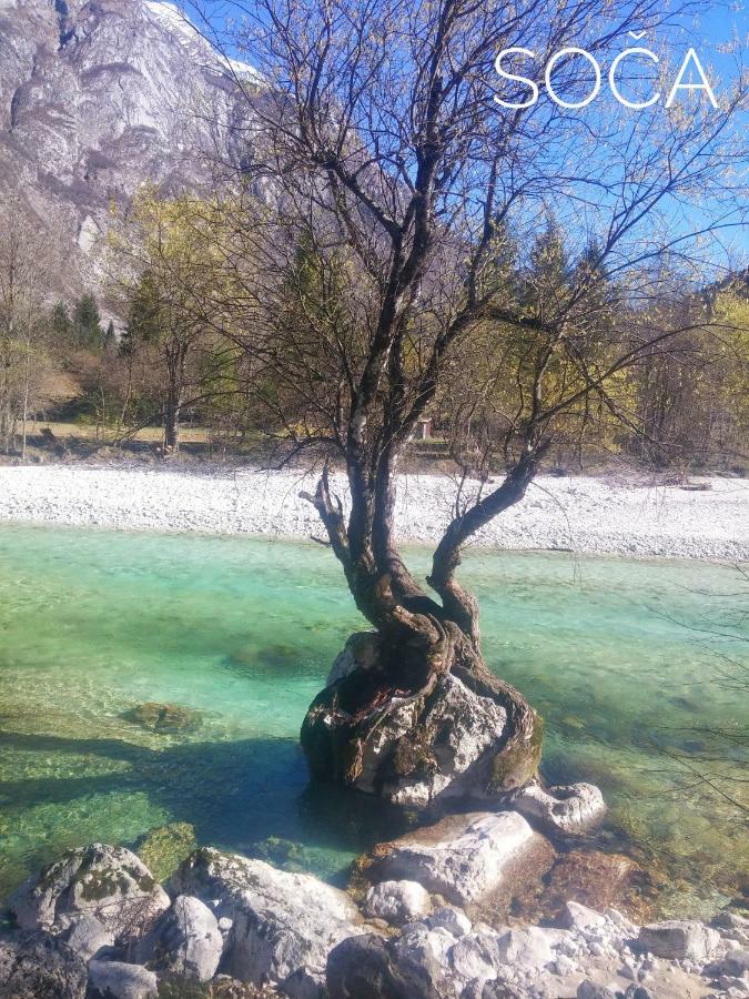 Apartma Kukc Bovec Apartment Kal-Koritnica Luaran gambar
